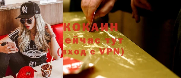 ECSTASY Белокуриха