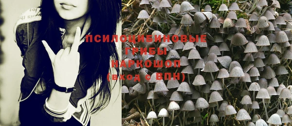 бошки Нязепетровск