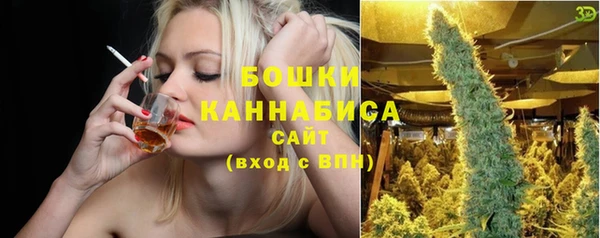 спайс Баксан