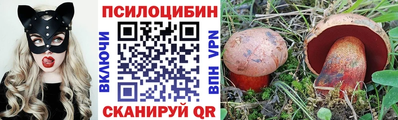 где можно купить наркотик  Волчанск  Псилоцибиновые грибы ЛСД 